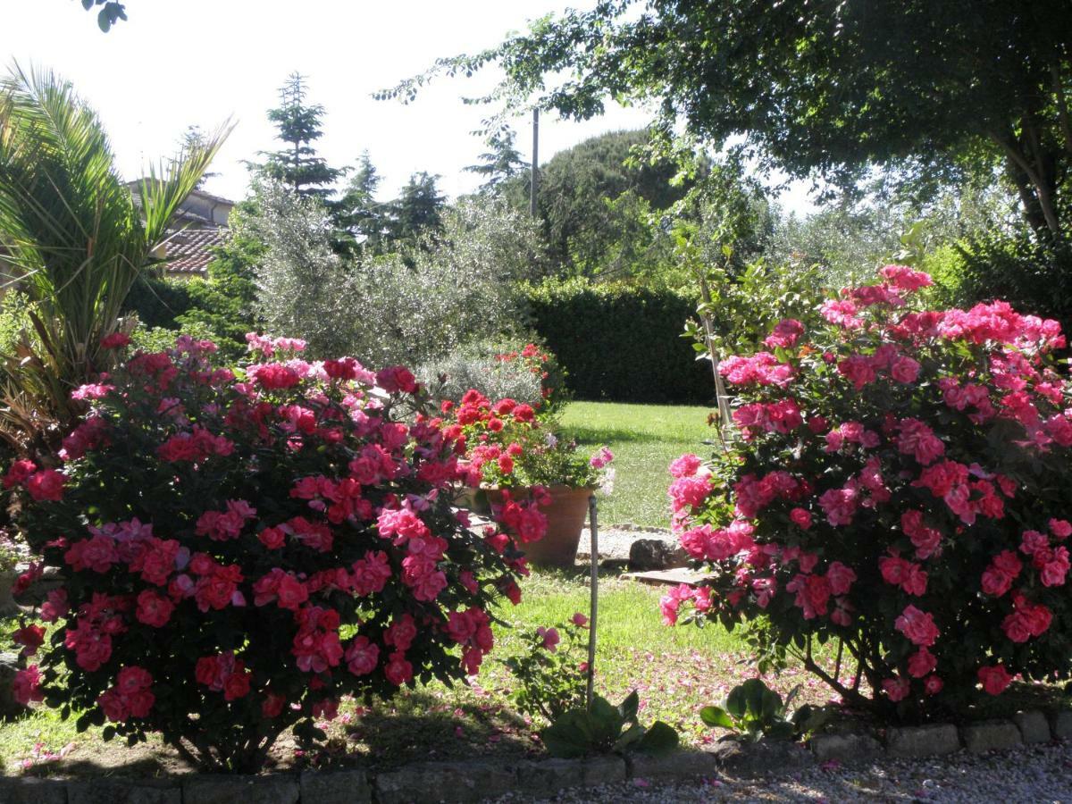 Holiday home San Marco Cortona